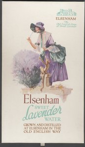 Lavanda de Elsenham, años 1920 de Wilfred Fryer