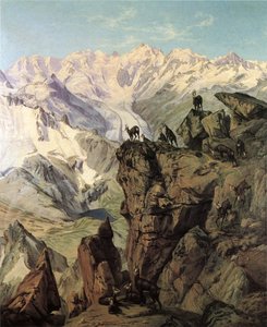 Grupo Georgy Bernina con gamuzas
