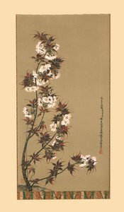 Las flores de cerezo de Mikawa, siglo XIX, 1886 de Wilhelm Greve
