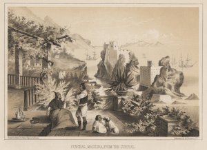 Funchal, Madeira, desde el Curral, 1885