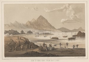 Vista de Hong Kong desde East Point, 1855 de Wilhelm Joseph Heine