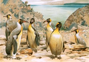 Pingüinos gigantes de Wilhelm Kuhnert