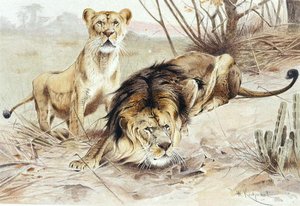 León, lámina de "Brehms Tierleben: Allgemeine Kunde des Tierreichs", vol.1, p.453, publicado por Bibliographisches Institut de Wilhelm Kuhnert
