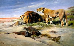 Ladrones del desierto