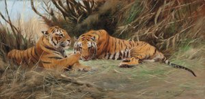 Tigres al amanecer, 1913 de Wilhelm Kuhnert