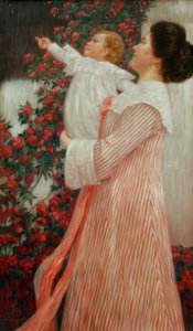 Tiempo de rosas
