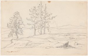 Paisaje sueco de Wilhelm Marstrand