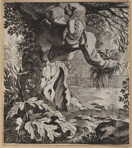 El tonto audaz de Wilhelm Stettler