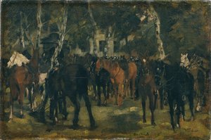 Coraceros desmontados de Wilhelm Trübner