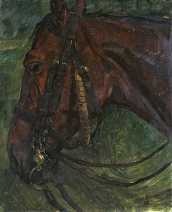 cabeza de caballo