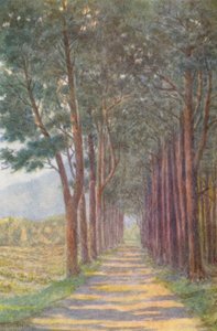 Avenida del Abeto, "Alphen" (litografía en color)