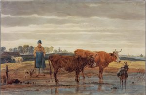 Campesina con ganado en el agua