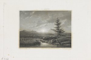 paisaje con un arroyo