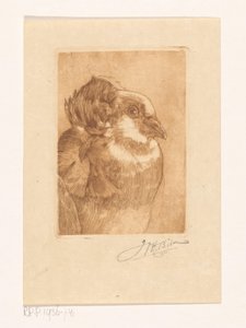Estudio de una paloma de Willem Hendrik Bik (signed by artist)