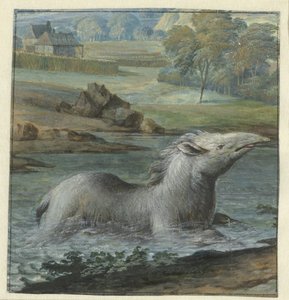 Tapir en el agua de Willem Hendrik Wilhelmus van Royen
