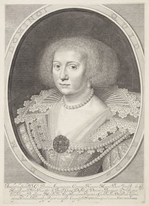 Retrato de Amalia van Solms de Willem Jacobsz Delff