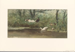 Patos en la cuneta de Willem Maris