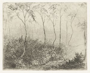 paisaje forestal de Willem Matthias Jan van Dielen