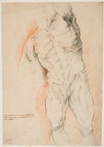 Estudio anatómico (écorché). Vista frontal de un hombre desollado de pie, con el brazo izquierdo levantado de Willem Panneels