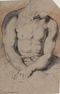 Cristo coronado de espinas. El torso de Cristo. Según Van Dyck