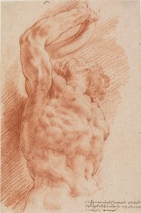 Laocoonte. El torso de Laocoonte visto desde abajo a la derecha. de Willem Panneels