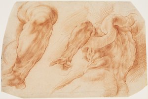 Laocoonte. Estudios del brazo izquierdo de Laocoonte y de la espalda de su torso visto desde la izquierda y desde abajo de Willem Panneels