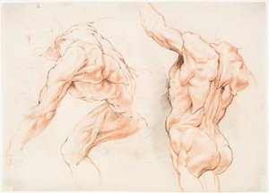 Dos estudios anatómicos de un hombre inclinado hacia la izquierda y otro visto desde atrás con el brazo levantado (écorché) de Willem Panneels