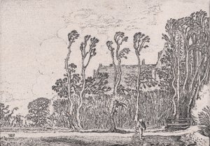 El sembrador, de Verscheyden Landtschapjes Various Little Landscapes, Placa 5 de Willem Pietersz. Buytewech