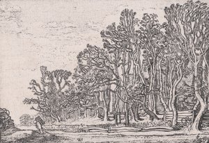 Dos setos de tablones, de Verscheyden Landtschapjes (Varios pequeños paisajes), Placa 6, ca. 1616 de Willem Pietersz. Buytewech