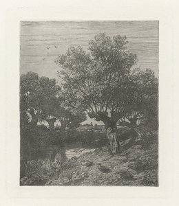 Patos en una zanja de Willem Roelofs (I)
