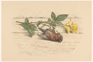 Pinzón muerto junto a una rosa de Willem Roelofs (II) (signed by artist)