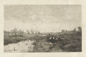 Paisaje de pólder con vacas