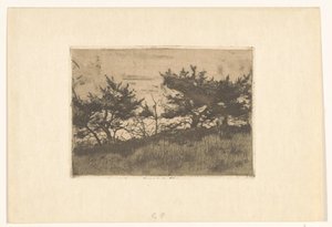 Árboles en una colina de Willem Arnoldus Witsen