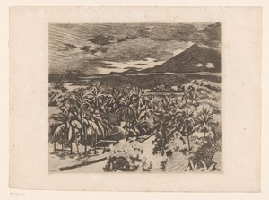 Vista de un paisaje con tablones en Buitenzorg de Willem Arnoldus Witsen