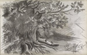 Paisaje con un gran árbol en Rhenen de Willem Arnoldus Witsen
