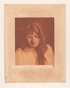 Retrato de una mujer desconocida
Cabeza de mujer con el pelo suelto (título original) de Willem Arnoldus Witsen