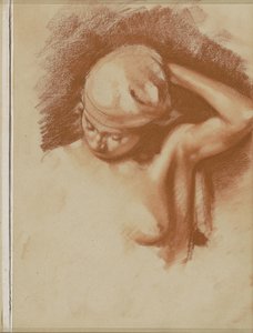 Mujer desnuda con el brazo izquierdo levantado