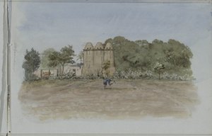 Torres de palomas en un terreno agrícola