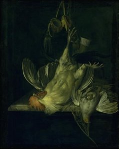 Un gallo blanco muerto de Willem van Aelst