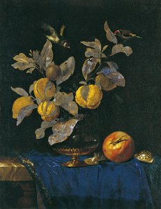Naturaleza muerta con frutas de Willem van Aelst