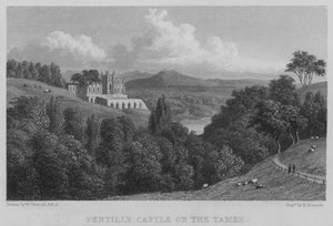 Castillo Pentilly en el Tamer