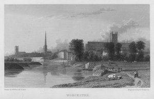 Worcester