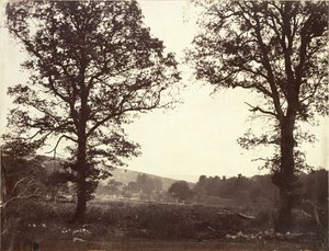 Paisaje con olmos, Ashdown, Gran Bretaña de William 2nd Earl of Craven