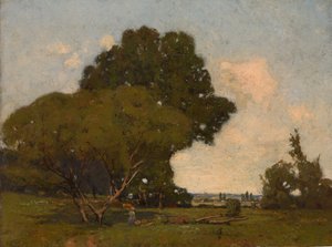 Los árboles, temprano en la tarde, Francia de William A. Harper