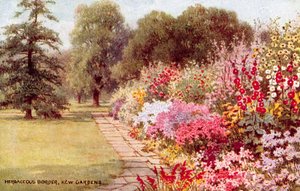 Borde herbáceo, Jardines de Kew de William Affleck Carruthers