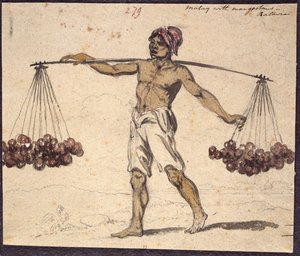 WD 961 f.279 de William Alexander