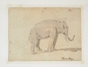 WD 961 f.2 de William Alexander