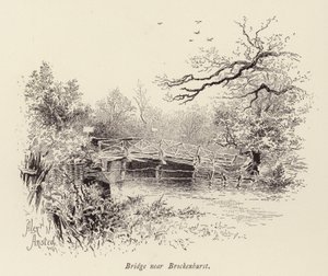 Puente cerca de Brockenhurst (grabado) de William Alexander Ansted