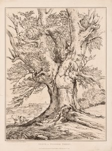 Haya en el Bosque de Windsor, 1805 de William Alfred Delamotte
