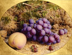 Uvas y durazno en un banco musgoso